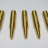 223 Remington plastic snap cap gold-6